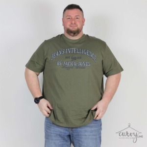T-SHIRT DENVER OVER