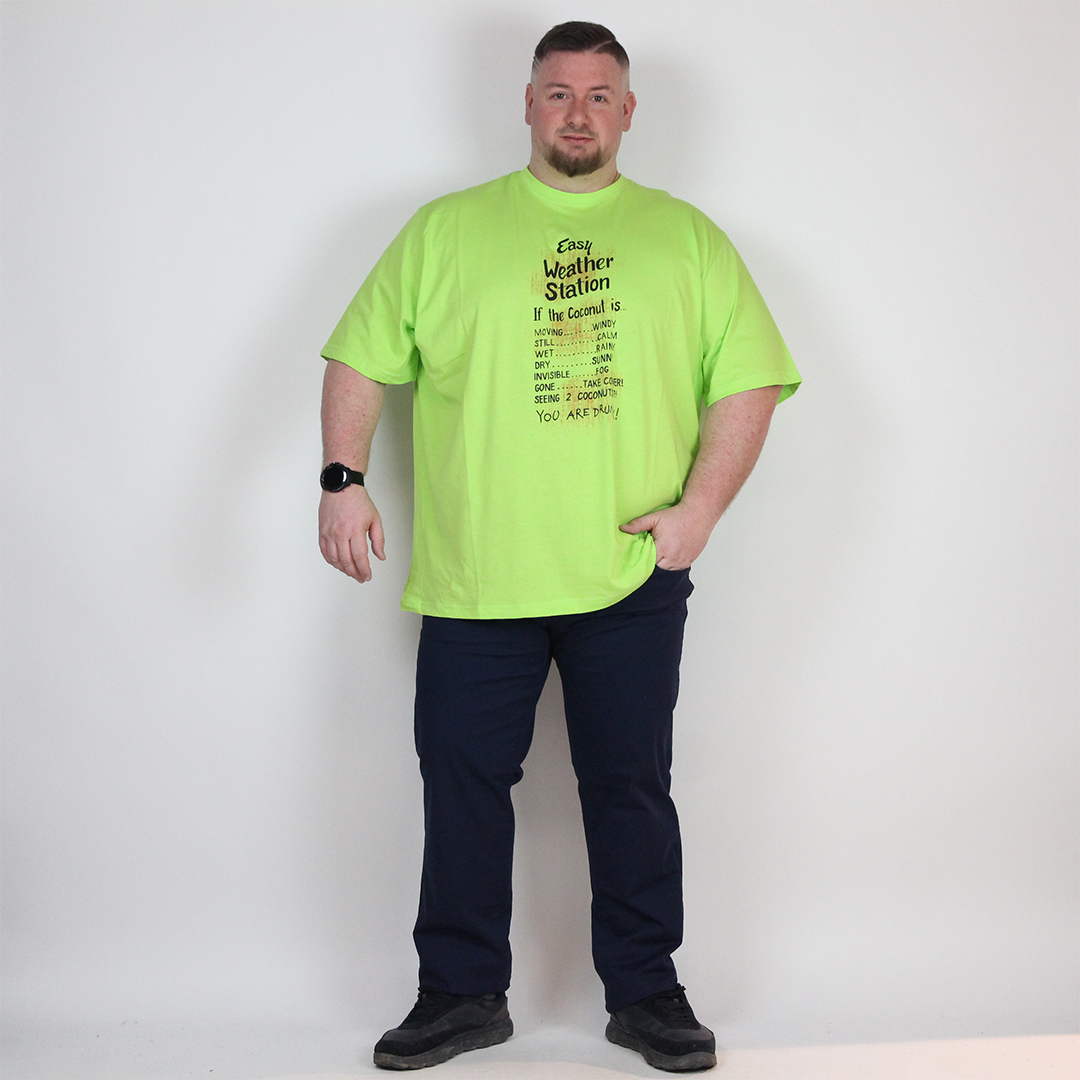 T-SHIRT WEATHER - immagine 2